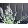EUROPALMS Cespuglio di lavanda, artificiale, 61 cm 82600231