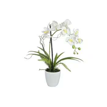 EUROPALMS Composizione di orchidee artificiali 1, in vaso, bianco-rosa, 60 cm 82530346