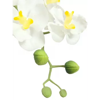 EUROPALMS Composizione di orchidee artificiali 1, in vaso, bianco-rosa, 60 cm 82530346