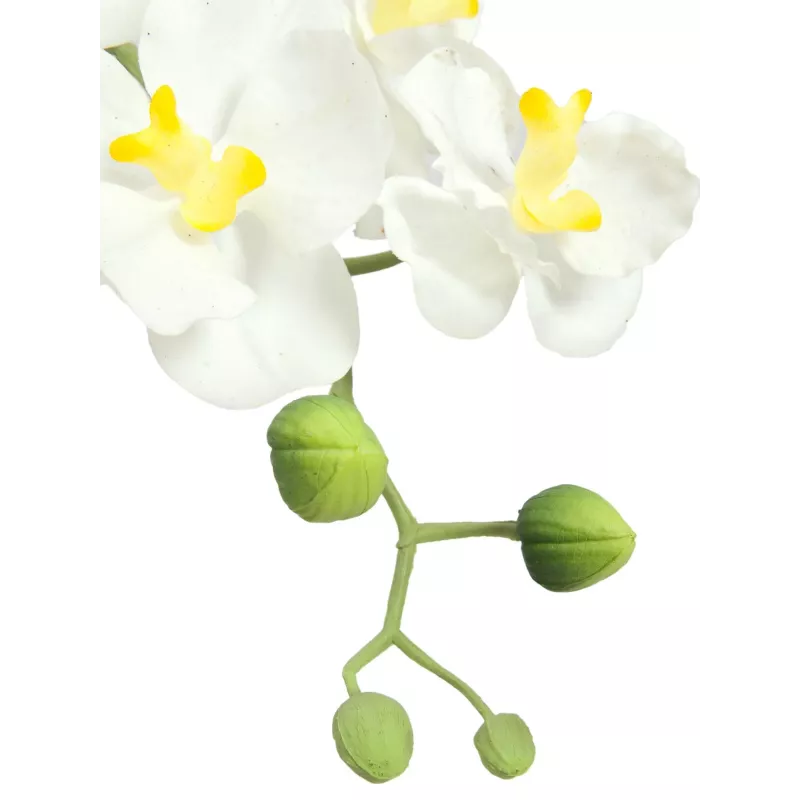EUROPALMS Composizione di orchidee artificiali 1, in vaso, bianco-rosa, 60 cm 82530346