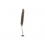 EUROPALMS Cacho Coco Palma da cocco artificiale, 120-190 cm, tronco in legno vero, 12 fronde, indoor 83502349