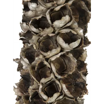 EUROPALMS Cacho Coco Palma da cocco artificiale, 120-190 cm, tronco in legno vero, 12 fronde, indoor 83502349