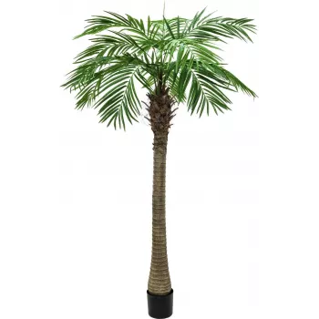 EUROPALMS Luxor Palma fenice artificiale, 150 cm, verde 82510720