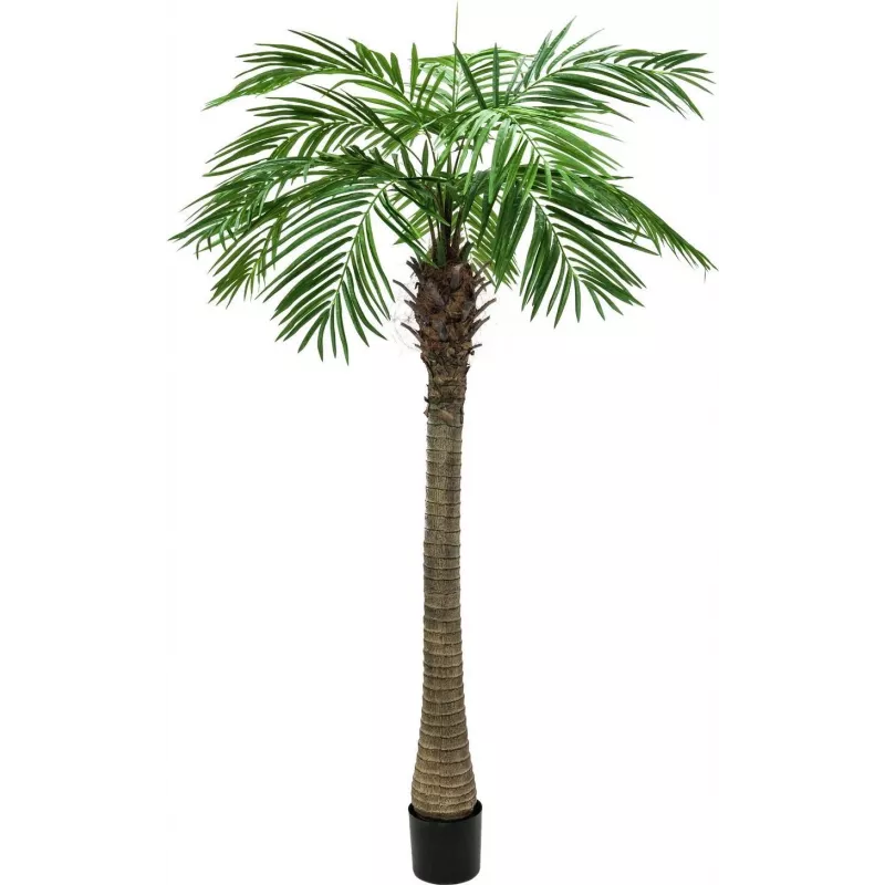 EUROPALMS Luxor Palma fenice artificiale, 150 cm, verde 82510720