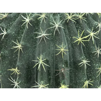 EUROPALMS Cactus sferico artificiale, 34 cm 82600063