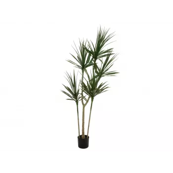 EUROPALMS Pianta artificiale Dracena, verde, 170 cm 82505799