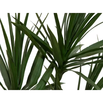 EUROPALMS Pianta artificiale Dracena, verde, 170 cm 82505799
