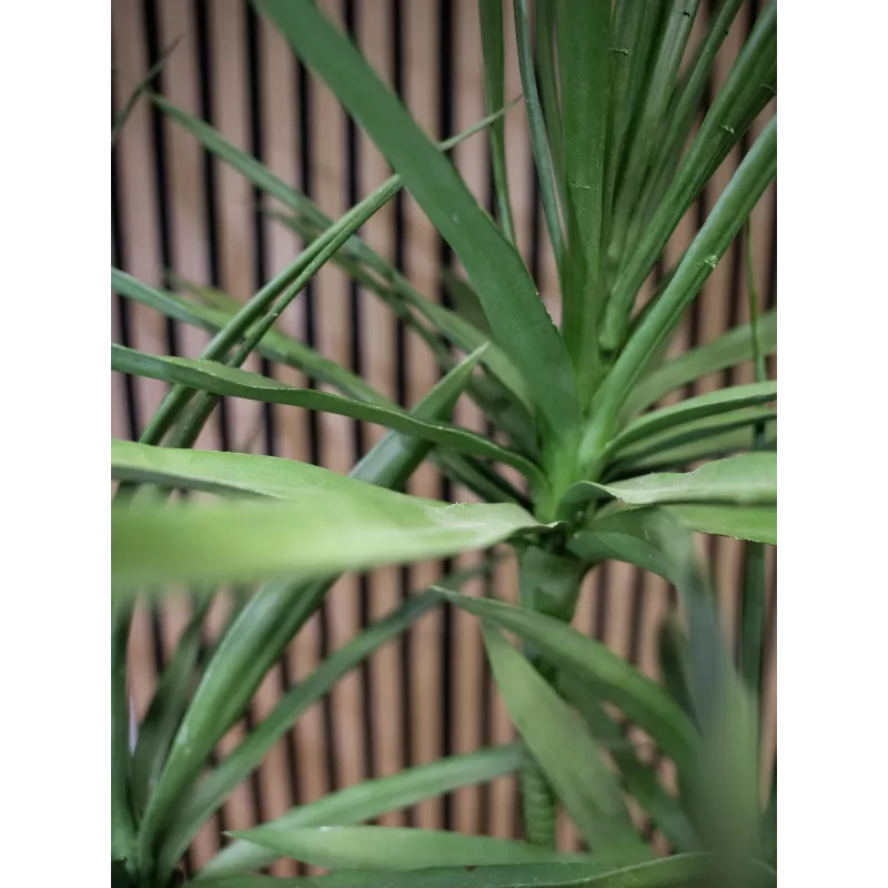 EUROPALMS Pianta artificiale Dracena, verde, 170 cm 82505799
