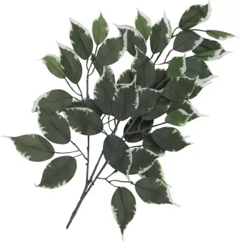 EUROPALMS ramo di ficus artificiale, confezione da 12 82506100