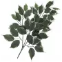 EUROPALMS ramo di ficus artificiale, confezione da 12 82506100