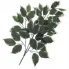 EUROPALMS ramo di ficus artificiale, confezione da 12 82506100