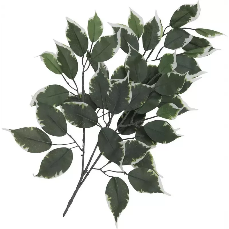 EUROPALMS ramo di ficus artificiale, confezione da 12 82506100