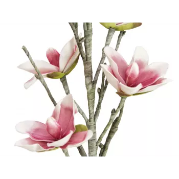 EUROPALMS ramo di magnolia artificiale (EVA), bianco-rosa 82530587