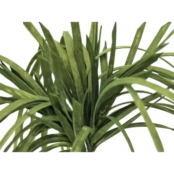 EUROPALMS alga marina artificiale (EVA), verde 82531062