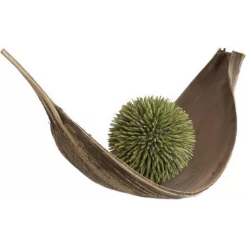 EUROPALMS Sfera di succulente (EVA), pianta artificiale, verde, 20 cm 82531071