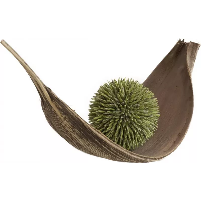 EUROPALMS Sfera di succulente (EVA), pianta artificiale, verde, 20 cm 82531071