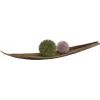 EUROPALMS Sfera di succulente (EVA), pianta artificiale, verde, 20 cm 82531071