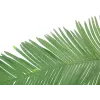 EUROPALMS Fronda di palma regale cocco artificiale, 180 cm 82509847