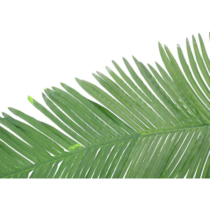EUROPALMS Fronda di palma regale cocco artificiale, 180 cm 82509847