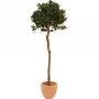 EUROPALMS Albero sferico di alloro artificiale, 180 cm 82506946