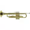 DIMAVERY TP-10 Tromba in Bb, laccatura oro 26503100