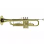 DIMAVERY TP-10 Tromba in Bb, laccatura oro 26503100