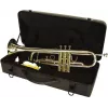 DIMAVERY TP-10 Tromba in Bb, laccatura oro 26503100