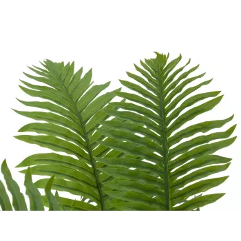 EUROPALMS Pianta artificiale palma Cycas, 70 cm 82509604