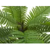 EUROPALMS Pianta artificiale palma Cycas, 70 cm 82509604