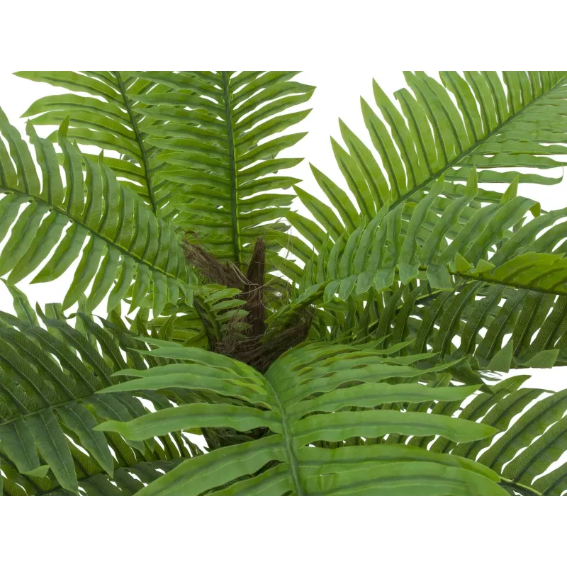 EUROPALMS Pianta artificiale palma Cycas, 70 cm 82509604