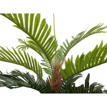 EUROPALMS palma kentia artificiale, 150 cm 82511366