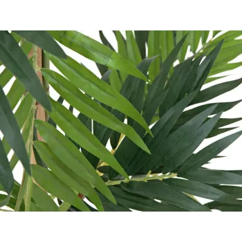 EUROPALMS Pianta artificiale palma, 150 cm 82509495