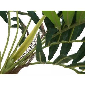 EUROPALMS Pianta artificiale palma, 150 cm 82509495
