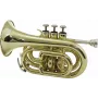 DIMAVERY TP-300 tromba tascabile in Si bemolle, verniciatura dorata 26503720