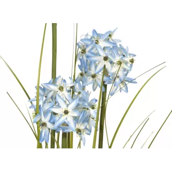 EUROPALMS pianta artificiale erba Allium, blu, 120 cm 82600168