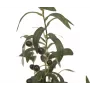 EUROPALMS Olivo artificiale, 68 cm, foglie verdi, vaso nero 82506421