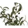 EUROPALMS Olivo artificiale, 68 cm, foglie verdi, vaso nero 82506421