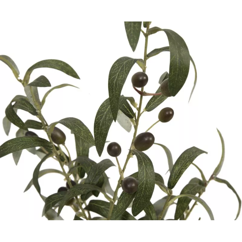 EUROPALMS Olivo artificiale, 68 cm, foglie verdi, vaso nero 82506421