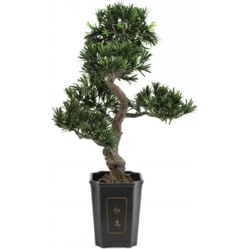 EUROPALMS Bonsai Podocarpus pianta artificiale, 80 cm 82600116