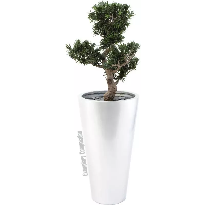 EUROPALMS Bonsai Podocarpus pianta artificiale, 80 cm 82600116