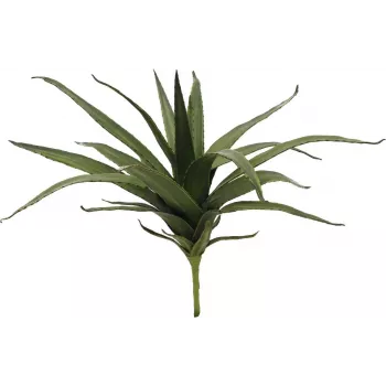 EUROPALMS Aloe (EVA), artificiale, verde, 50 cm (82530570)