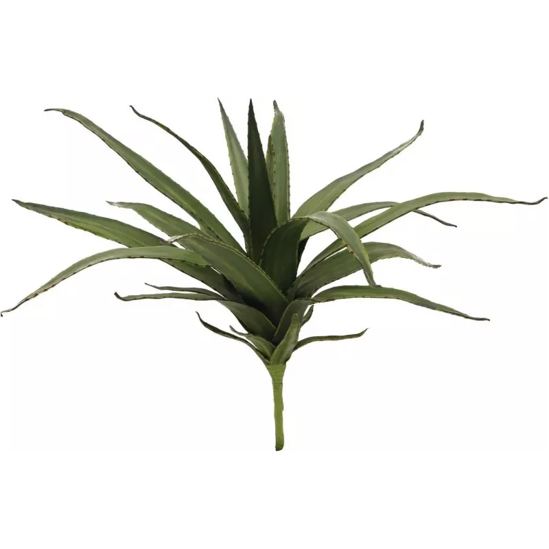 EUROPALMS Aloe (EVA), artificiale, verde, 50 cm (82530570)