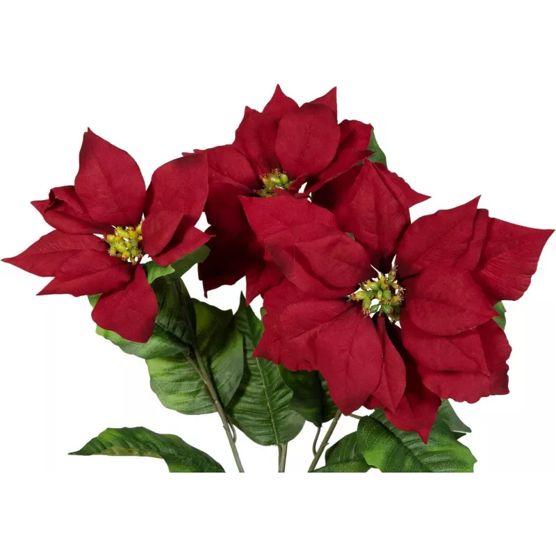 EUROPALMS Cespuglio di stella di Natale artificiale, rosso, 50 cm 83500439