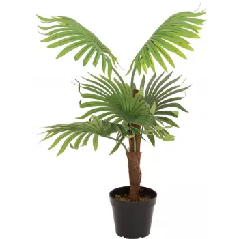 EUROPALMS Palma a ventaglio pianta artificiale, 88 cm, verde, vaso nero 82509301