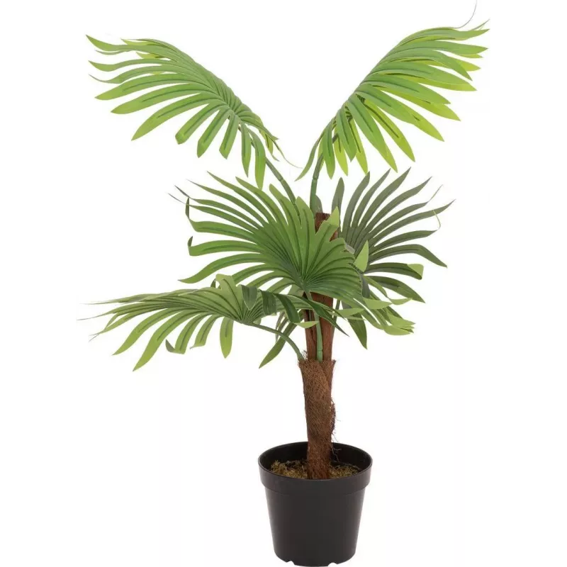 EUROPALMS Palma a ventaglio pianta artificiale, 88 cm, verde, vaso nero 82509301