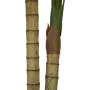 EUROPALMS Palma areca, a 2 fusti, pianta artificiale, 120 cm (82509410)
