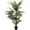 EUROPALMS Palma areca pianta artificiale, 150 cm 82509414