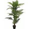 EUROPALMS Palma areca pianta artificiale, 150 cm 82509414