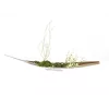 EUROPALMS sfera decorativa 3,5 cm, verde chiaro, lucida, 48 pezzi 8350129X