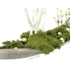 EUROPALMS sfera decorativa 3,5 cm, verde chiaro, lucida, 48 pezzi 8350129X